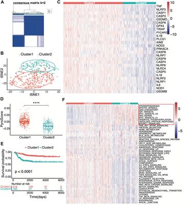 Pyroptosis-Related Gene Signature Predicts the Prognosis and Immune Infiltration in Neuroblastoma